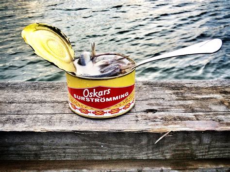 Surströmming – the rotten herring that Swedes love